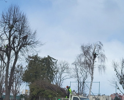 Opis zdjęcia