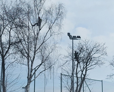 Opis zdjęcia