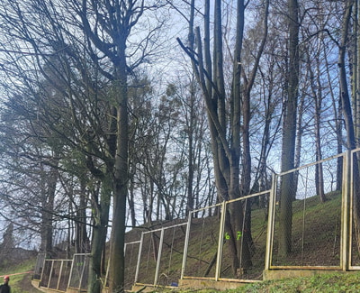 Opis zdjęcia