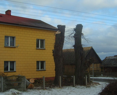 Opis zdjęcia