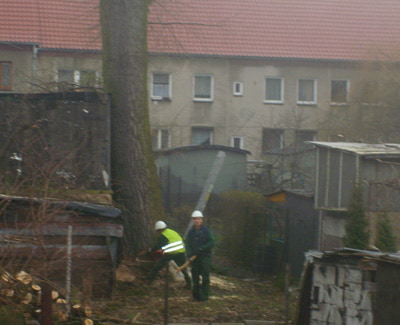Opis zdjęcia