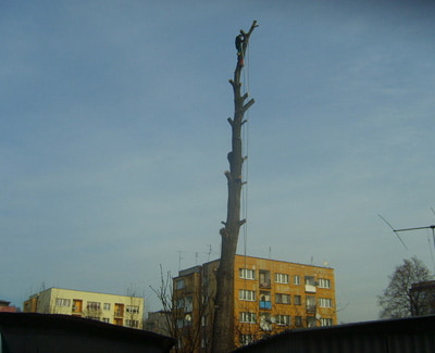 Opis zdjęcia