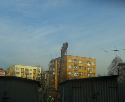 Opis zdjęcia
