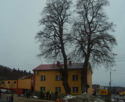Opis zdjęcia