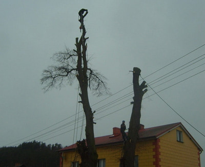 Opis zdjęcia