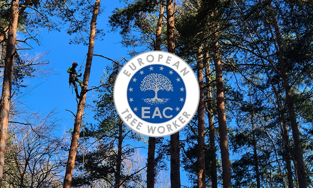 EAC European tree worker